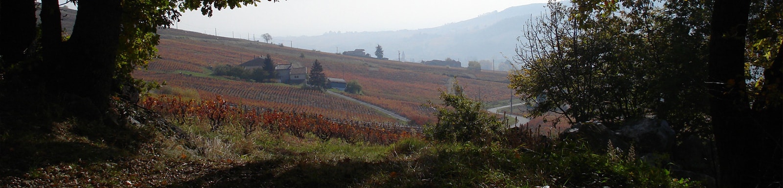 Où trouver nos vins ?