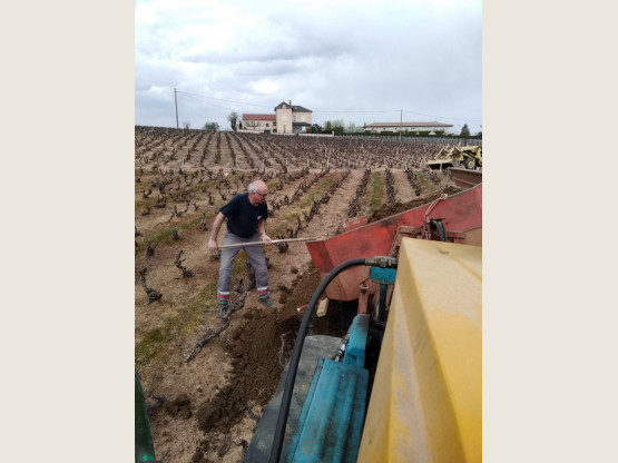 Travail de la Vigne