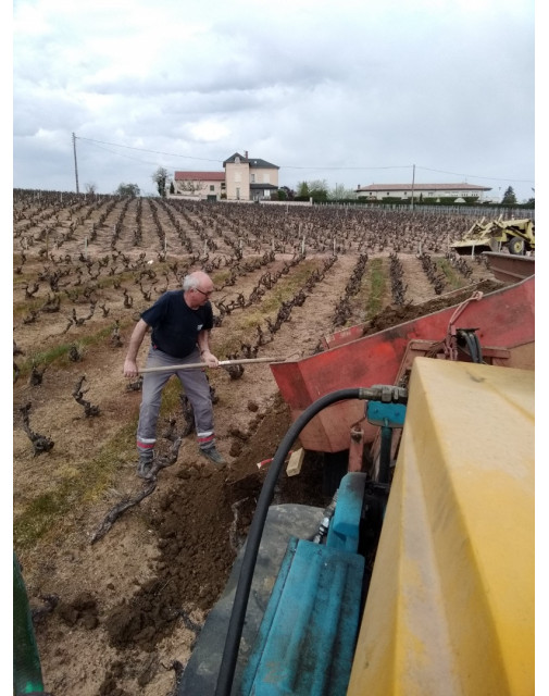 Travail de la Vigne