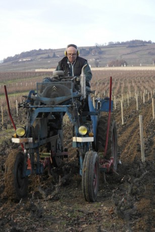 L’exploitation est complètement restructurée avec l’arrachage du neuvième rang sur toutes les parcelles pour pouvoir passer avec le tracteur vigneron que l’EARL vient d’acheter