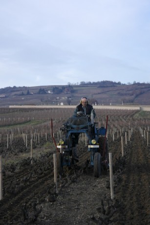 L’exploitation est complètement restructurée avec l’arrachage du neuvième rang sur toutes les parcelles pour pouvoir passer avec le tracteur vigneron que l’EARL vient d’acheter