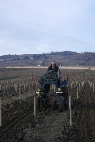 The operation is completely restructured, taking out the ninth row on all the plots so as to be able to pass with the vineyard tractor the EARL has just bought