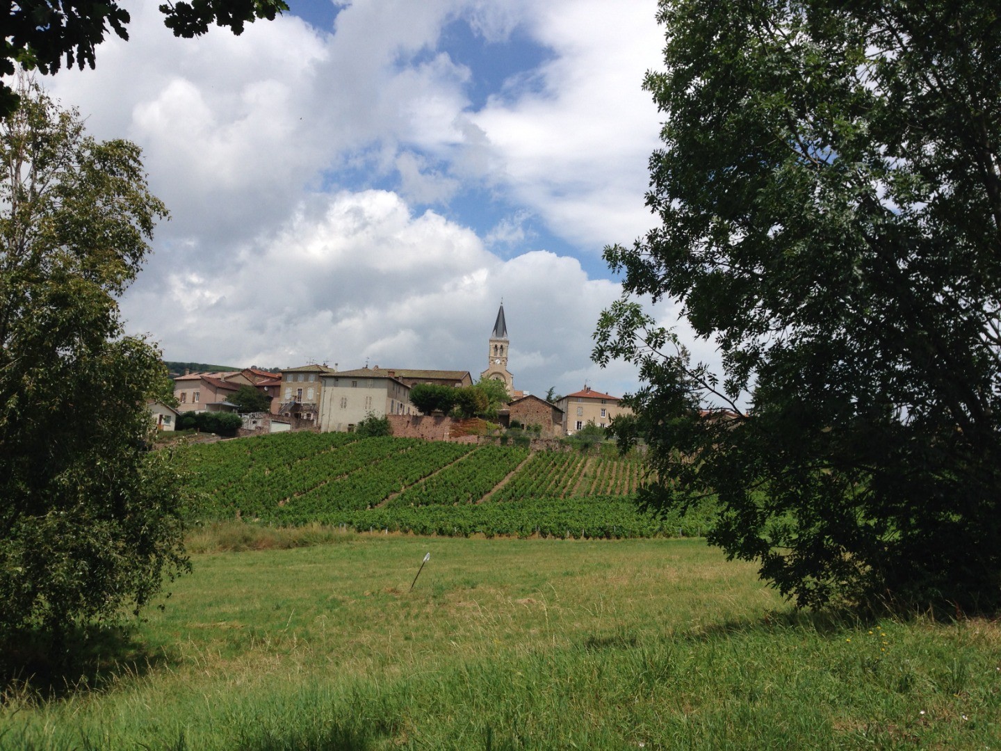 Pascal Philippe works on the family Estate and takes on some vines in his own name